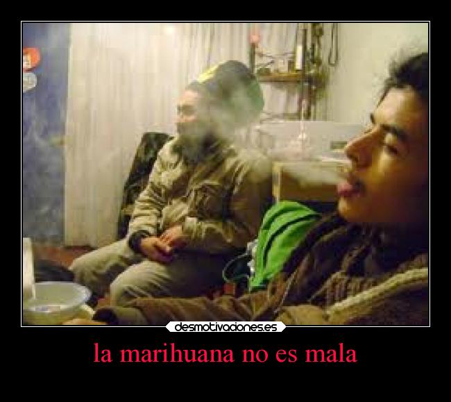 la marihuana no es mala -