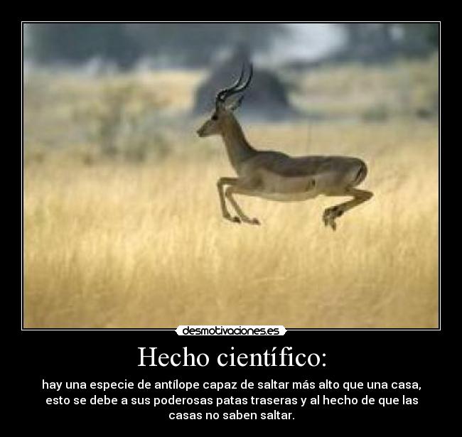 Hecho científico: - hay una especie de antílope capaz de saltar más alto que una casa,
esto se debe a sus poderosas patas traseras y al hecho de que las
casas no saben saltar.