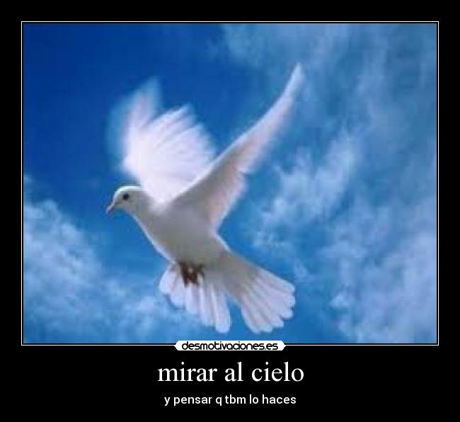 mirar al cielo - 