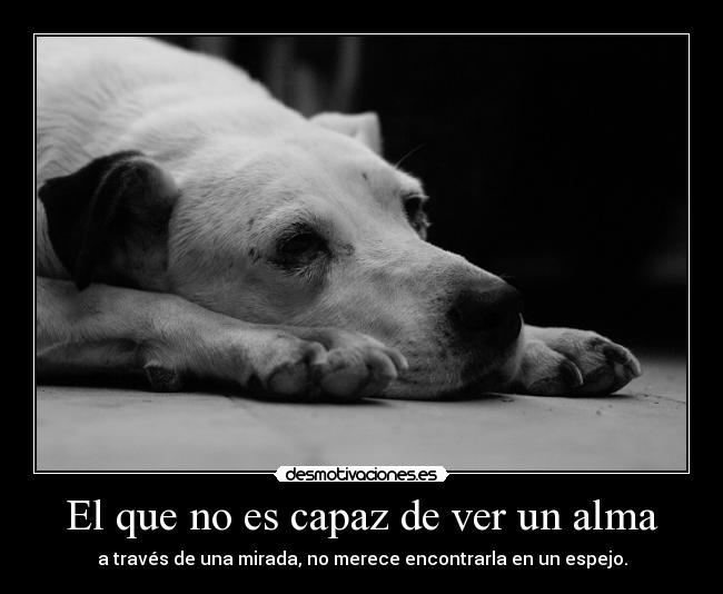 El que no es capaz de ver un alma -