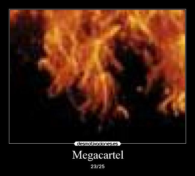 Megacartel - 23/25