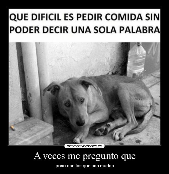 A veces me pregunto que - pasa con los que son mudos