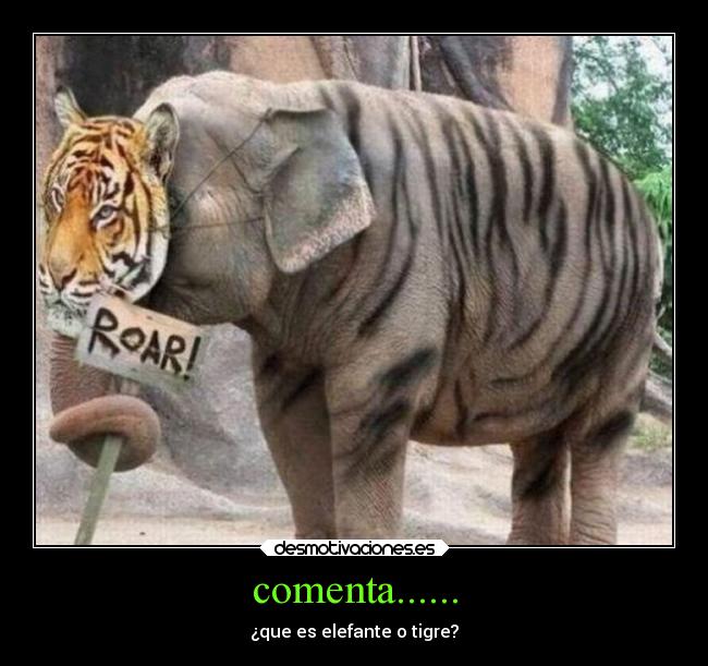 carteles anime animales desmotivaciones