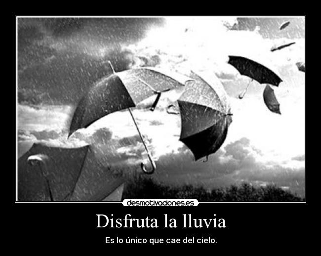 Disfruta la lluvia -