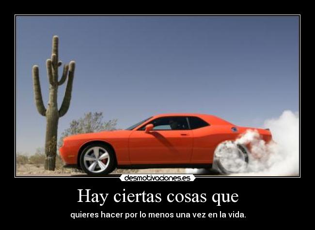 Hay ciertas cosas que - quieres hacer por lo menos una vez en la vida.