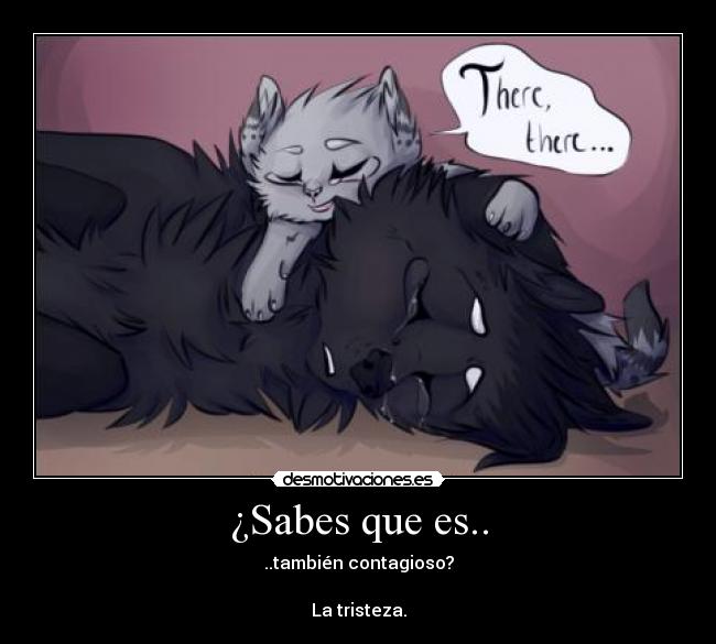 ¿Sabes que es.. - 
