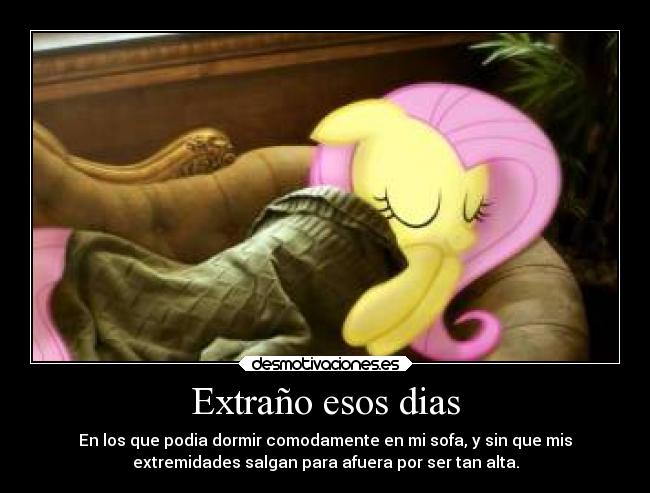 carteles fluttershy dormir sofa altura zzz desmotivaciones