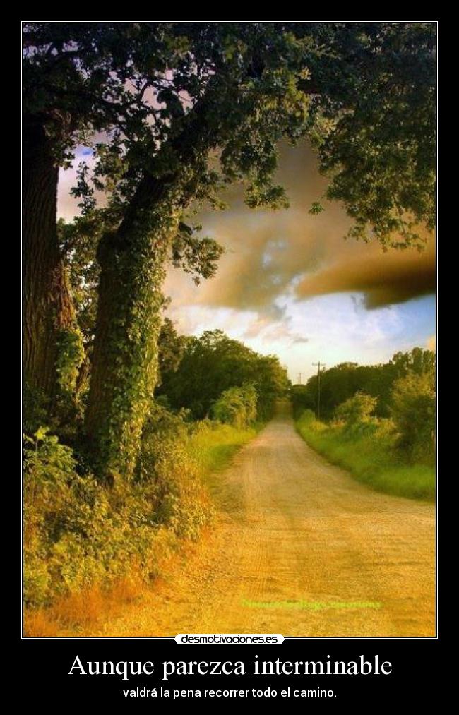 Aunque parezca interminable - valdrá la pena recorrer todo el camino.