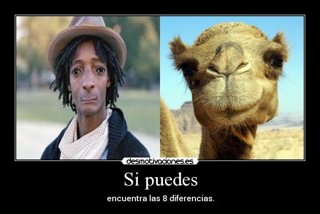 Si puedes - encuentra las 8 diferencias.