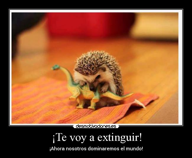 ¡Te voy a extinguir! - 