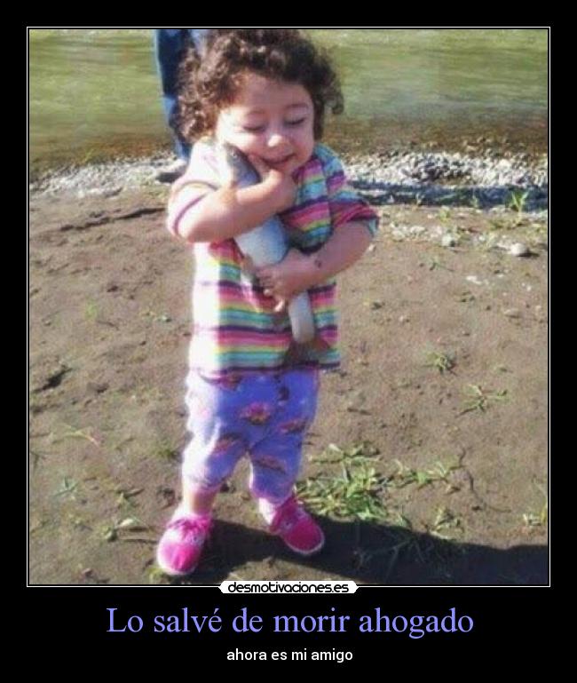 Lo salvé de morir ahogado - ahora es mi amigo