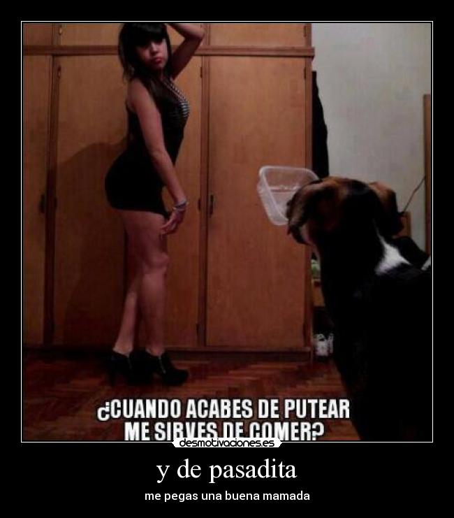 y de pasadita - me pegas una buena mamada