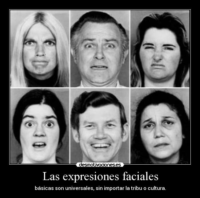 Las expresiones faciales - 