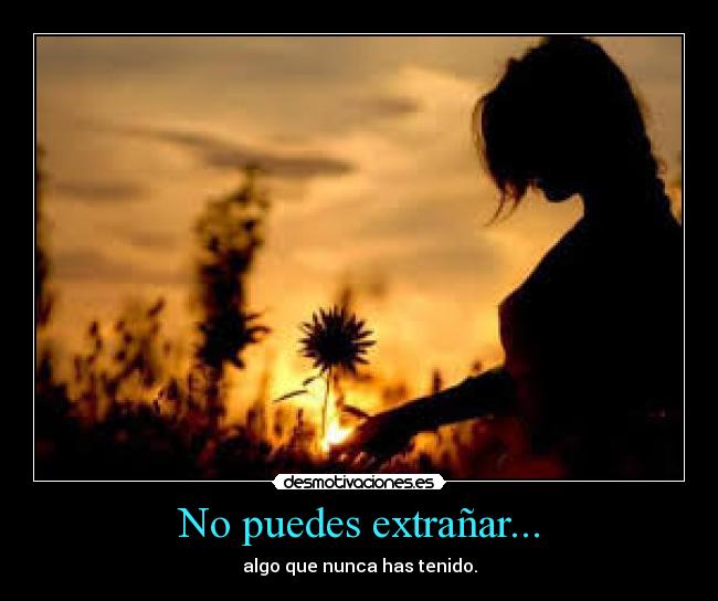 No puedes extrañar... - 