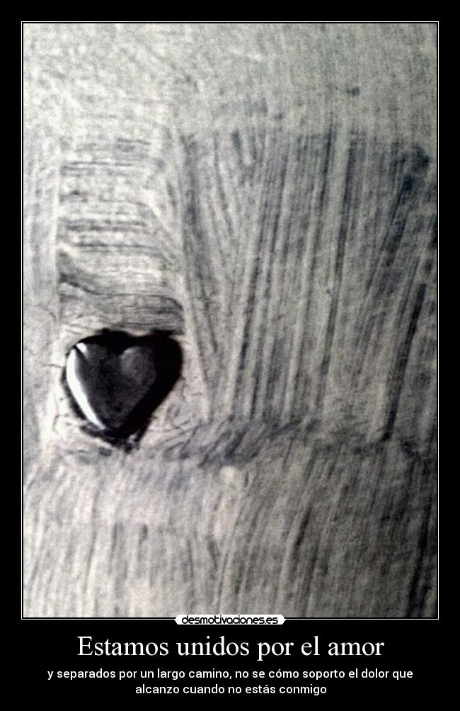 Estamos unidos por el amor - 