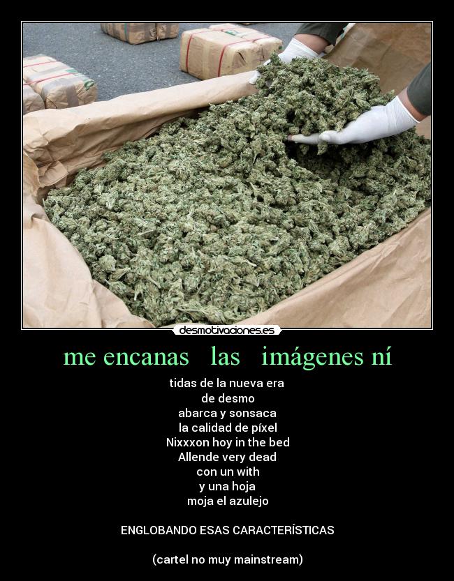 carteles cervezas porros cervezas porros cervezas porros escuela desmotivaciones