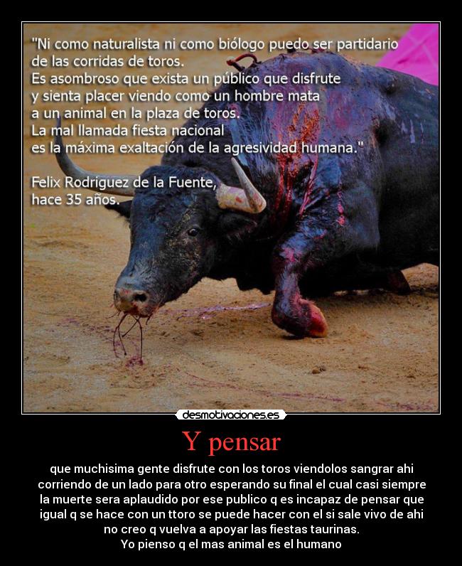 Y pensar - que muchisima gente disfrute con los toros viendolos sangrar ahi
corriendo de un lado para otro esperando su final el cual casi siempre
la muerte sera aplaudido por ese publico q es incapaz de pensar que
igual q se hace con un ttoro se puede hacer con el si sale vivo de ahi
no creo q vuelva a apoyar las fiestas taurinas.
Yo pienso q el mas animal es el humano