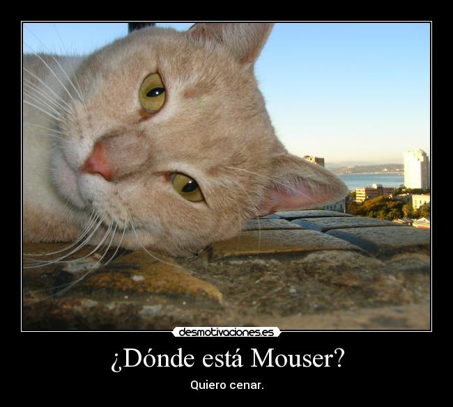 carteles telyg ejercitodemar yahoramevuelvopokehipster desmotivaciones