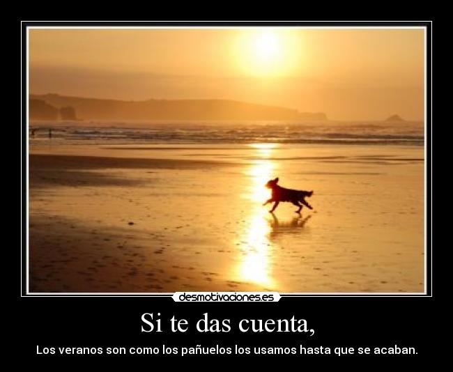 Si te das cuenta, - 
