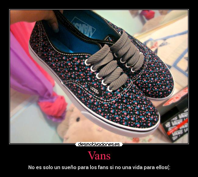 Vans -