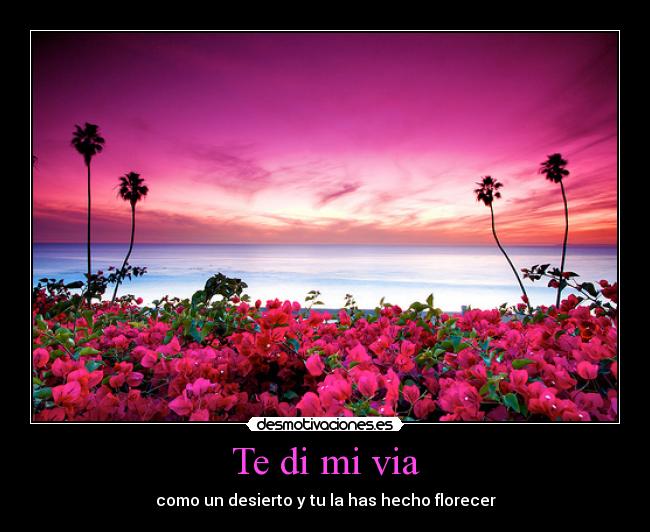 Te di mi via - como un desierto y tu la has hecho florecer