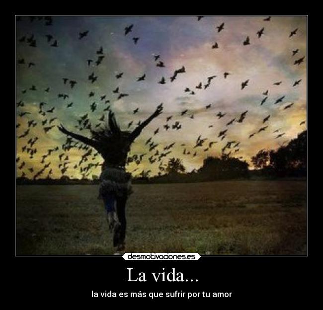 La vida... - 