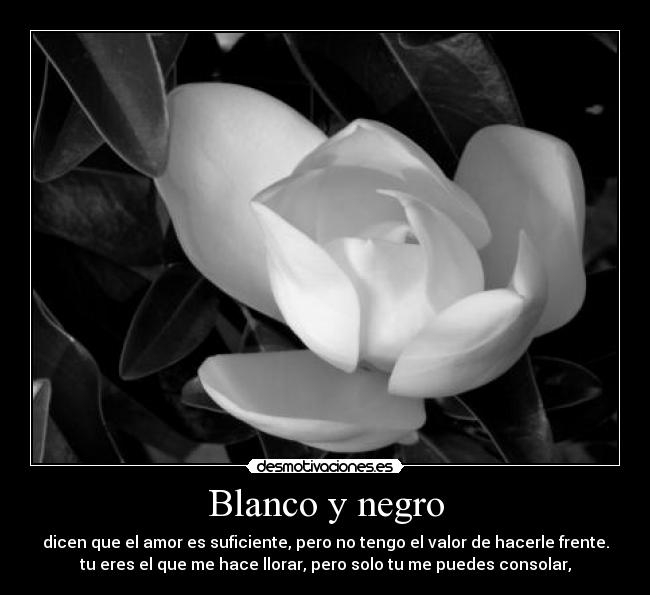 Blanco y negro - dicen que el amor es suficiente, pero no tengo el valor de hacerle frente.
tu eres el que me hace llorar, pero solo tu me puedes consolar,
