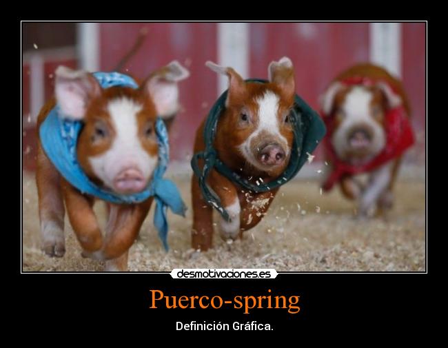 Puerco-spring - Definición Gráfica.