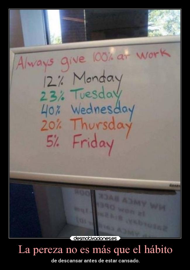 carteles vida humor pereza vaguedad descanso trabajo mastercat vive vida quiero desmotivaciones