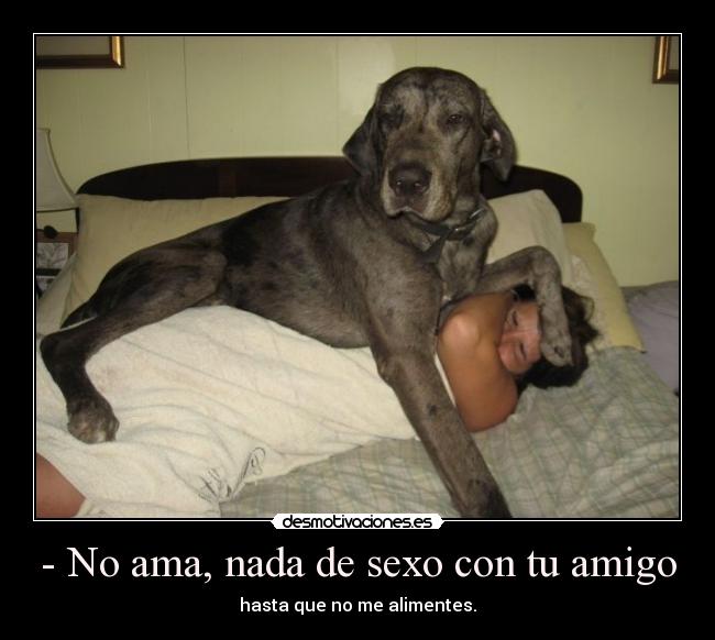 - No ama, nada de sexo con tu amigo - hasta que no me alimentes.
