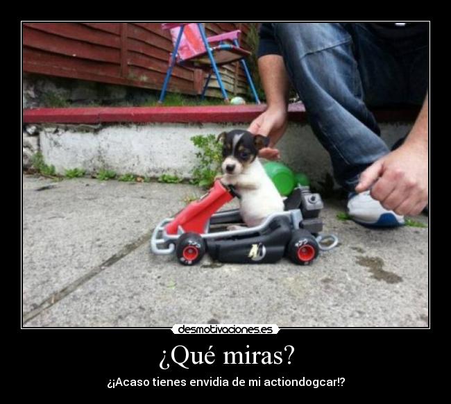 ¿Qué miras? - ¿¡Acaso tienes envidia de mi actiondogcar!?