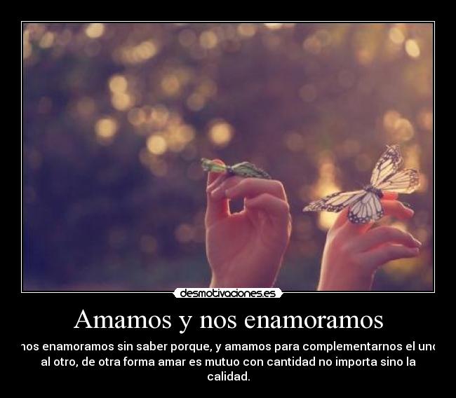Amamos y nos enamoramos - 
