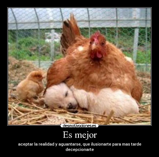 Es mejor -