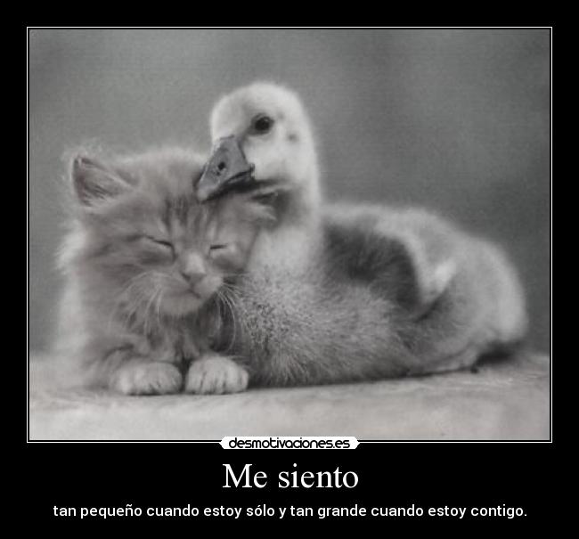Me siento -