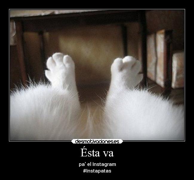 Ésta va - pa el Instagram
#Instapatas