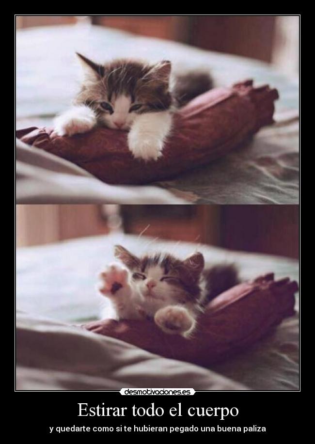 carteles lucialocaderemate clancontestonas desmotivaciones