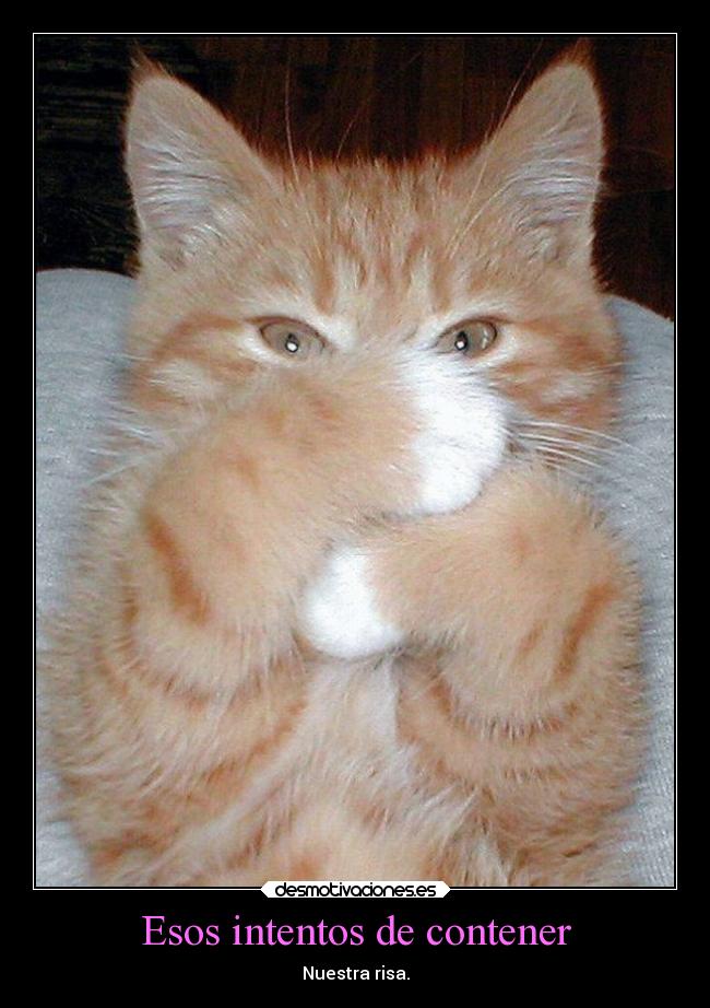 Esos intentos de contener - Nuestra risa.