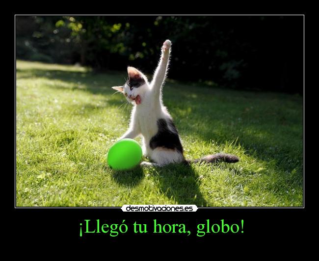 carteles gatoshook explotar globo verde hierba desmotivaciones