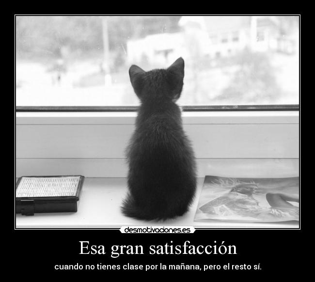 carteles hook esto vida chacho clase medio muerto las manana desmotivaciones