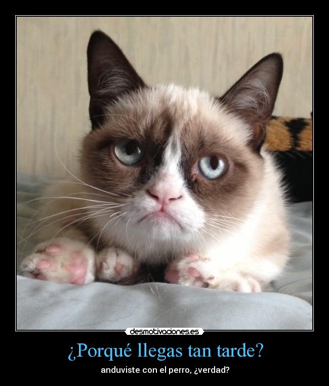 ¿Porqué llegas tan tarde? - anduviste con el perro, ¿verdad?