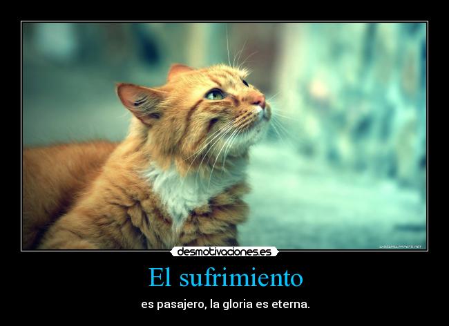 El sufrimiento -