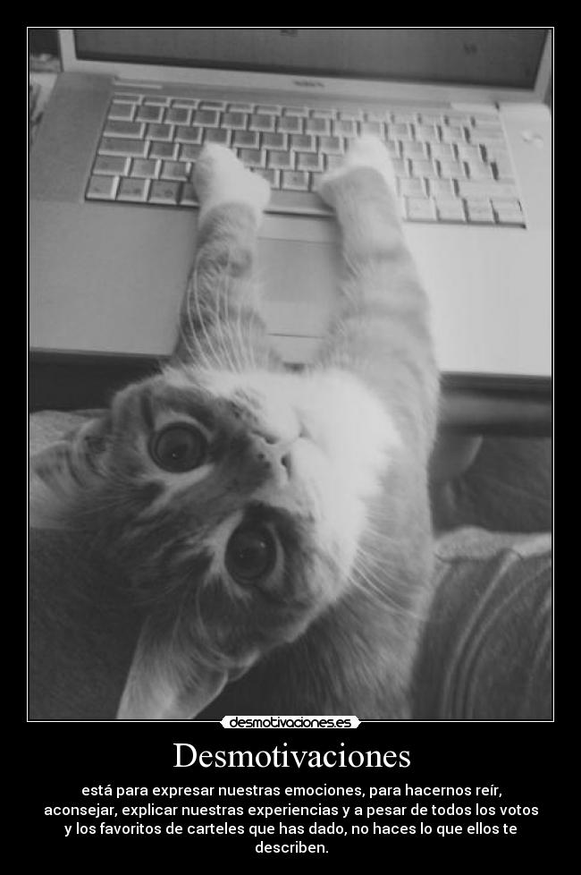 Desmotivaciones - está para expresar nuestras emociones, para hacernos reír,
aconsejar, explicar nuestras experiencias y a pesar de todos los votos
y los favoritos de carteles que has dado, no haces lo que ellos te
describen.