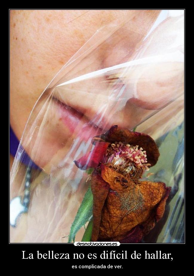 carteles telyg ejercitodemar yahoramevuelvopokehipster desmotivaciones