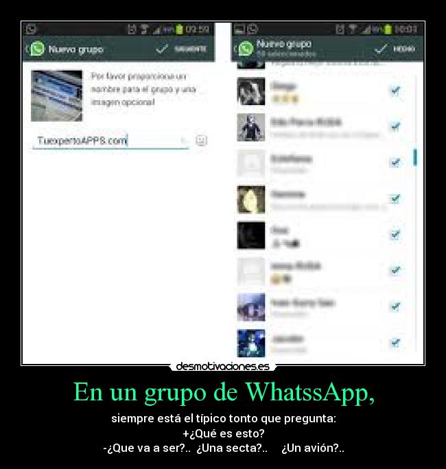 En un grupo de WhatssApp, -