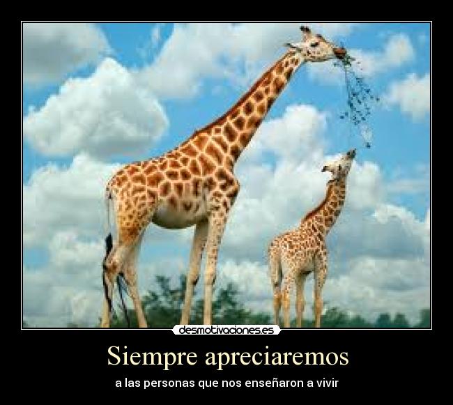 Siempre apreciaremos - a las personas que nos enseñaron a vivir