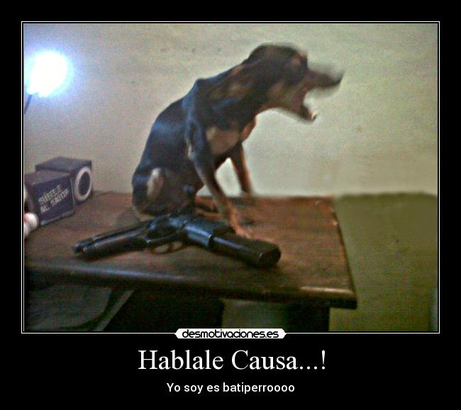 carteles animales desmotivaciones