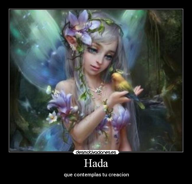 Hada - 