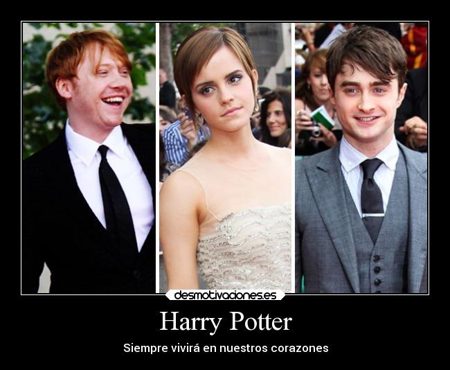 Harry Potter -