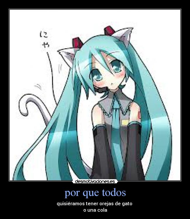 por que todos - quisiéramos tener orejas de gato 
o una cola