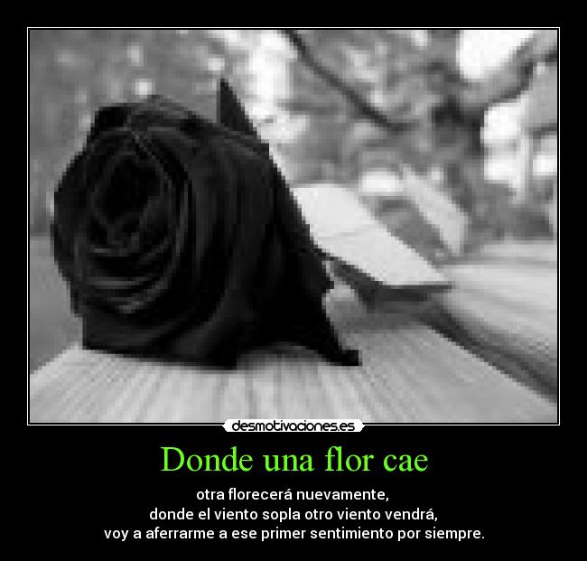 carteles frase doramas arang and the magister desmotivaciones